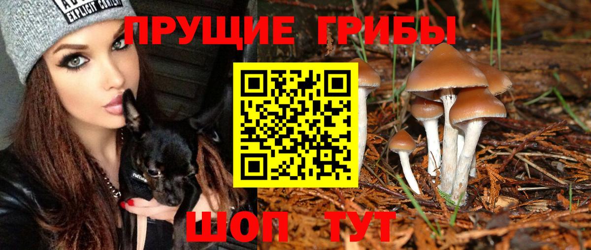 ГАШ Великий Новгород