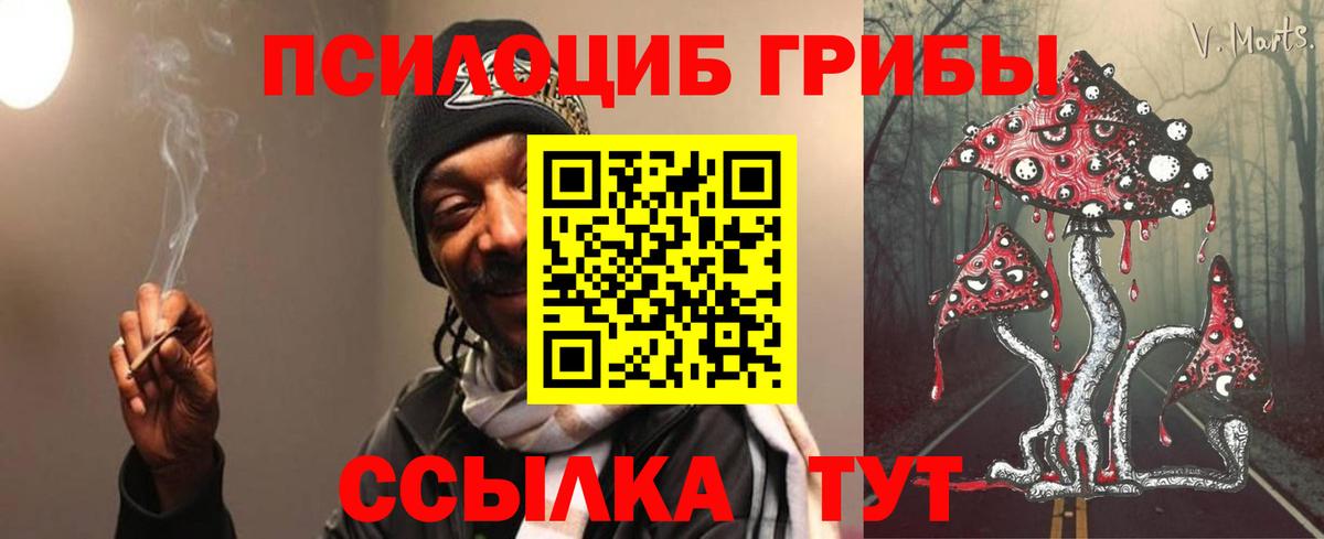 Псилоцибиновые грибы Psilocybe Великий Новгород