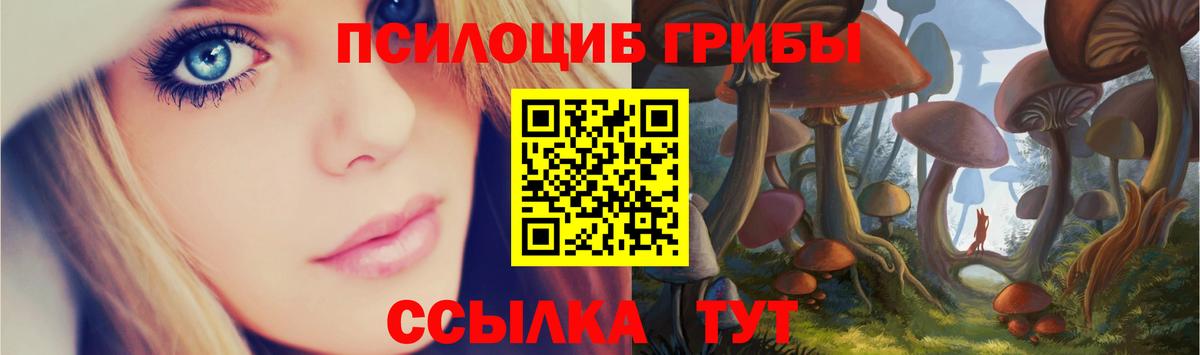 купить наркотик  Псилоцибиновые грибы ЛСД  Псилоцибиновые грибы Cubensis  Вход с VPN  Великий Новгород 